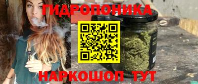 PSILOCYBIN Гусев