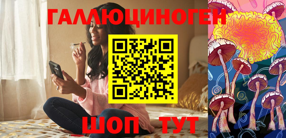 дарнет шоп  Вход с VPN  Малгобек  Галлюциногенные грибы прущие грибы 